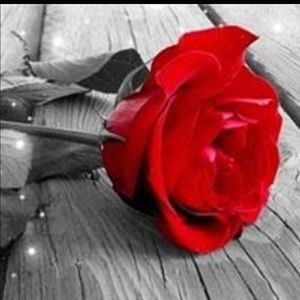 Meet your Posher, Rose ann